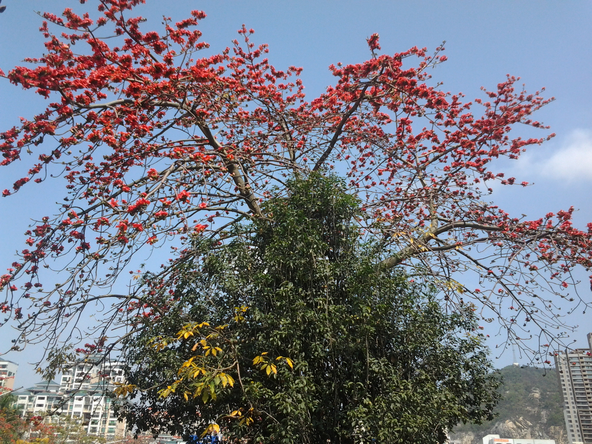 ������ǧ�׵�ľ�޻���׳�ۣ����������㣬��ӭ����