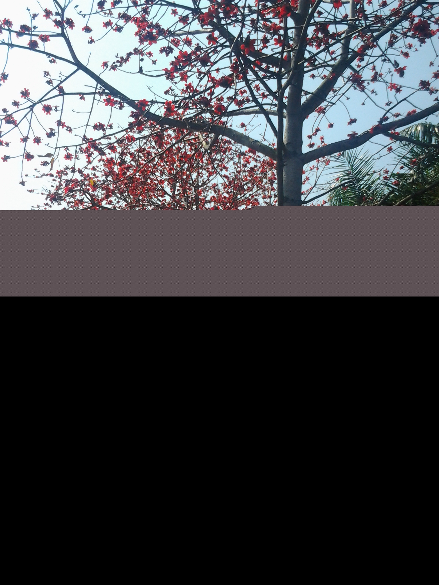 ������ǧ�׵�ľ�޻���׳�ۣ����������㣬��ӭ����