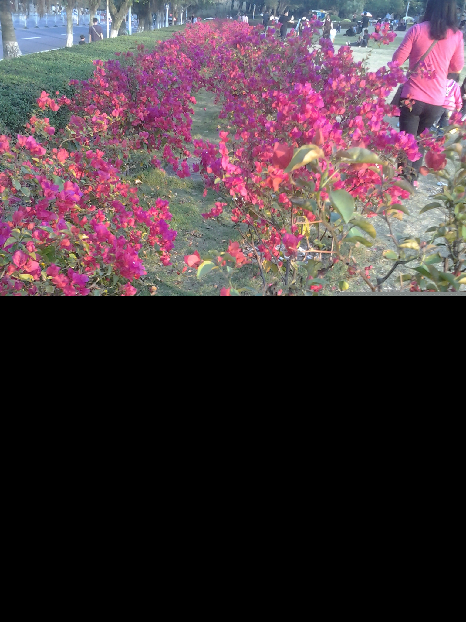 ������ǧ�׵�ľ�޻���׳�ۣ����������㣬��ӭ����