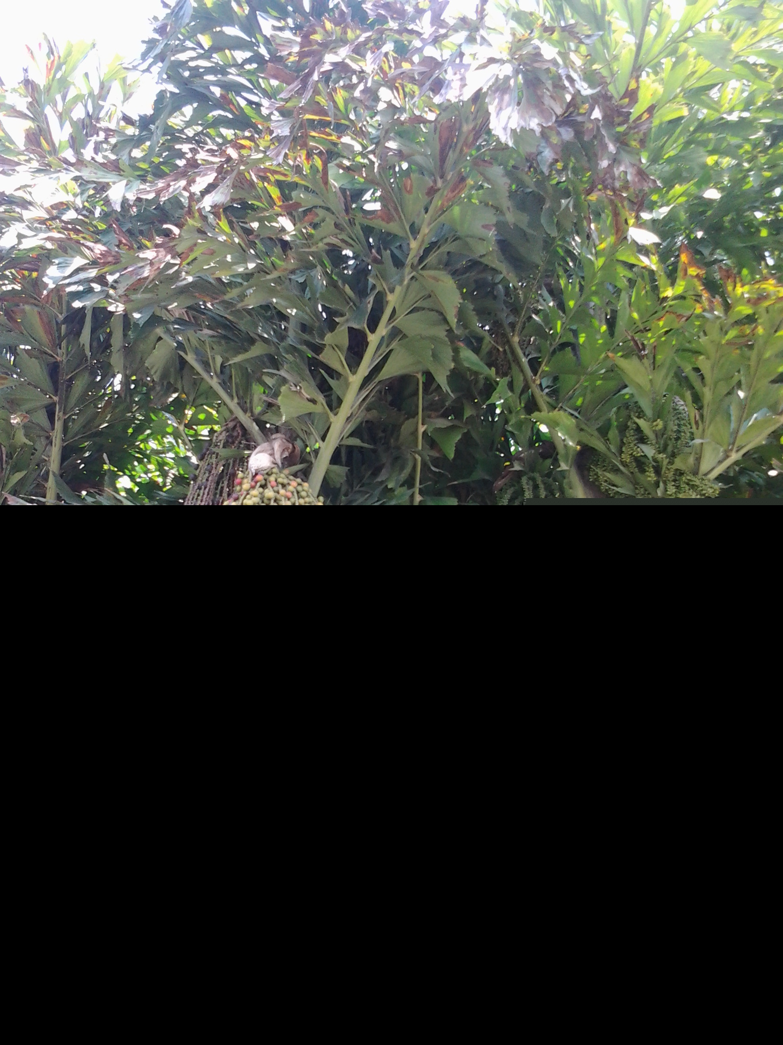 ������ǧ�׵�ľ�޻���׳�ۣ����������㣬��ӭ����