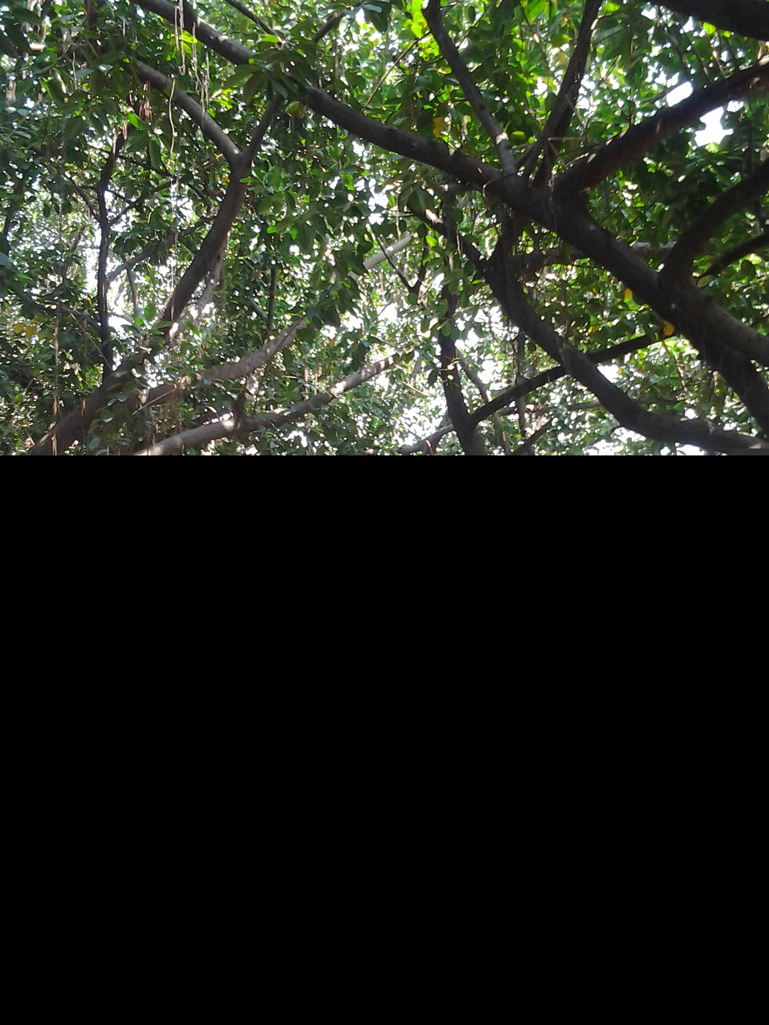 ������ǧ�׵�ľ�޻���׳�ۣ����������㣬��ӭ����