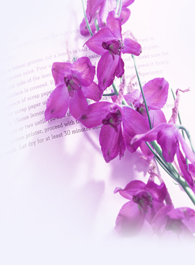 У�ѵ���������