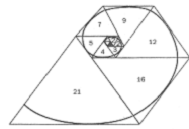 쳲����������У�Fibonacci Sequence��