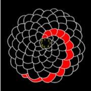 쳲����������У�Fibonacci Sequence��