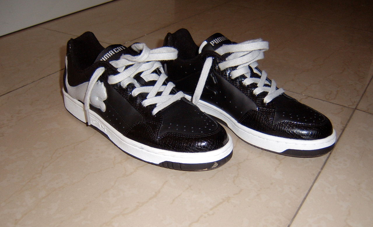 2008-02-23�����PUMAЬ