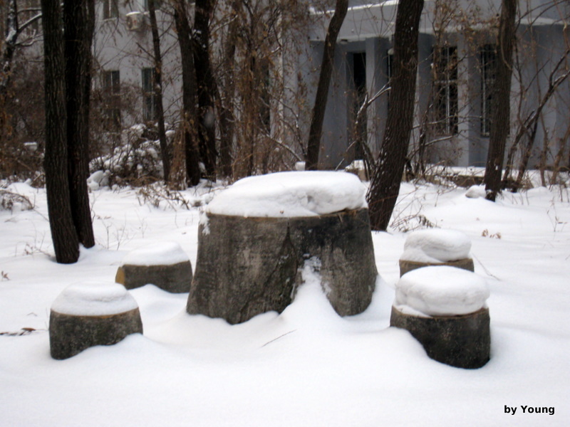 ������������ ��ͼ