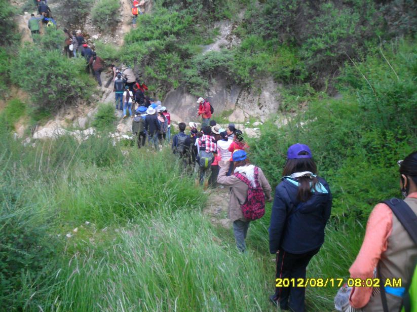 �������ߣ�����17�գ�