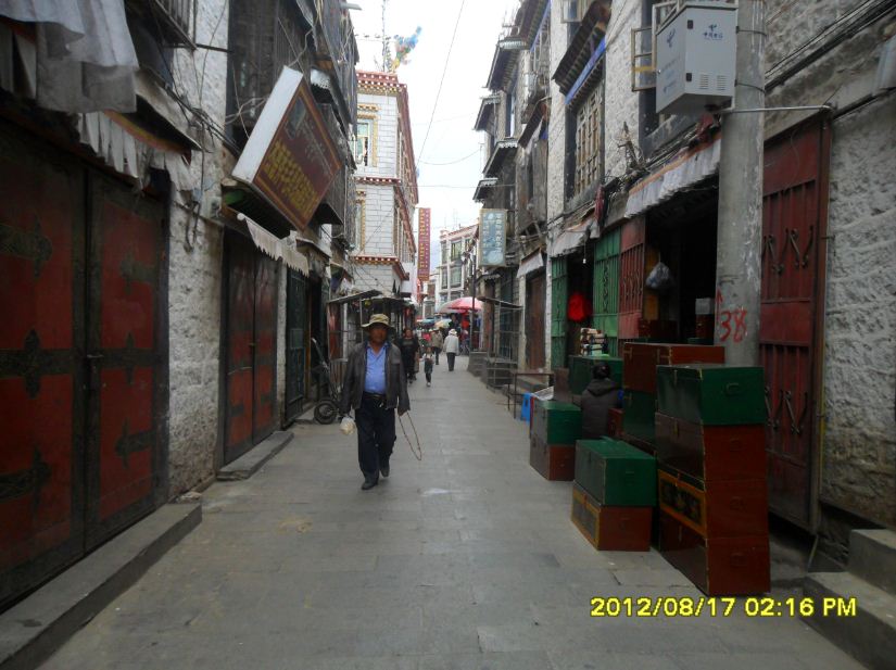 �������ߣ�����17�գ�