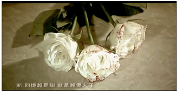 �㲻�������Ŀ���-����������ഺ�����С���ҵİ��Ǻ����к���ү