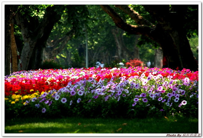 2007-05-19�����������й���