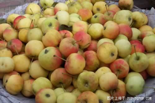 ������ʳ�ܻ�