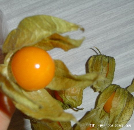 ������ʳ�ܻ�