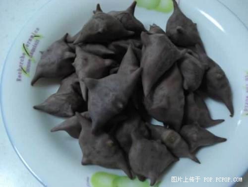 ������ʳ�ܻ�