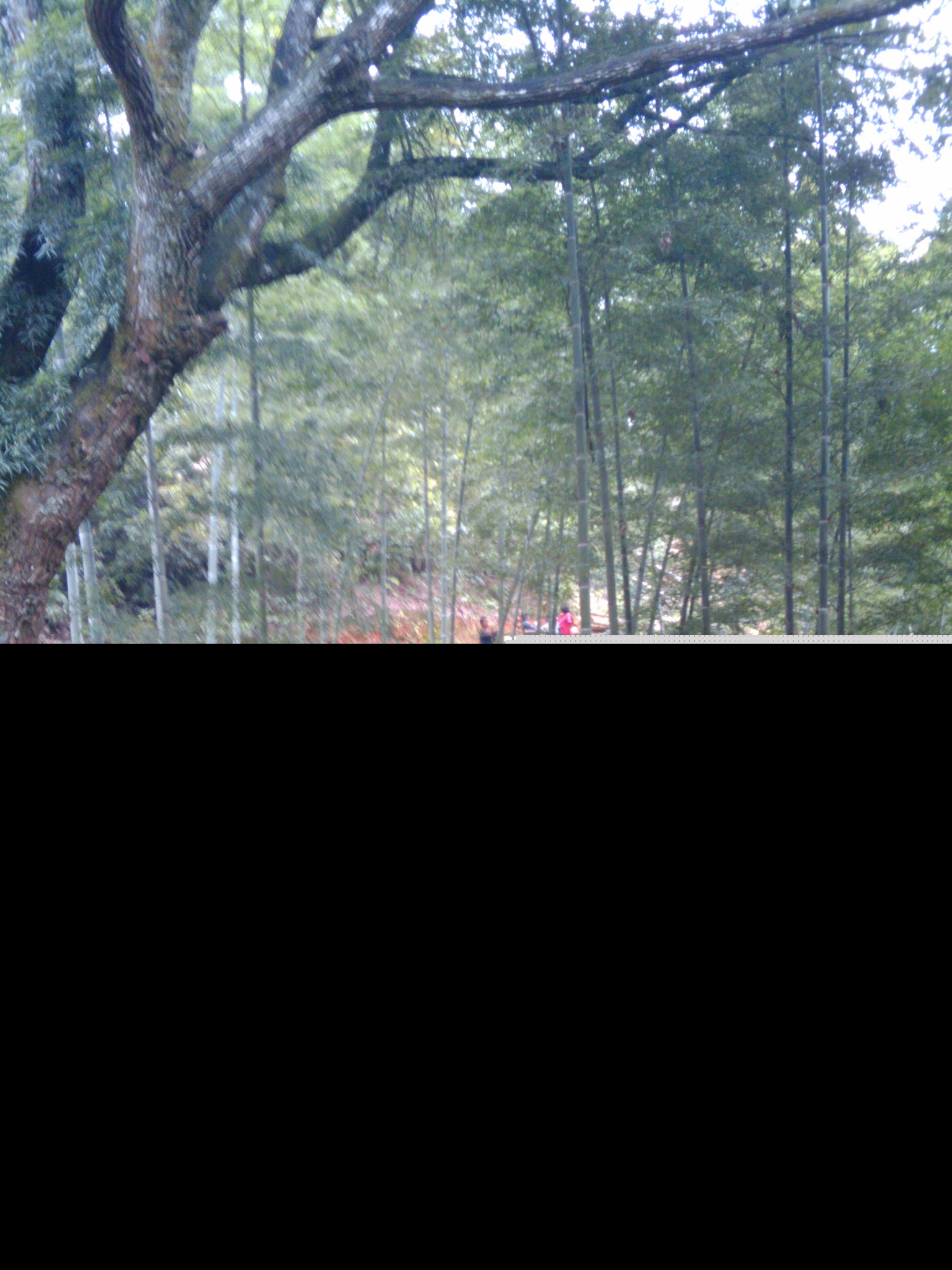 ǭ�������嶱�������ݣ���Զ�����ˣ��ɳ��С�ƣ�С�߿ף��Ʋ�-֮�ɳ