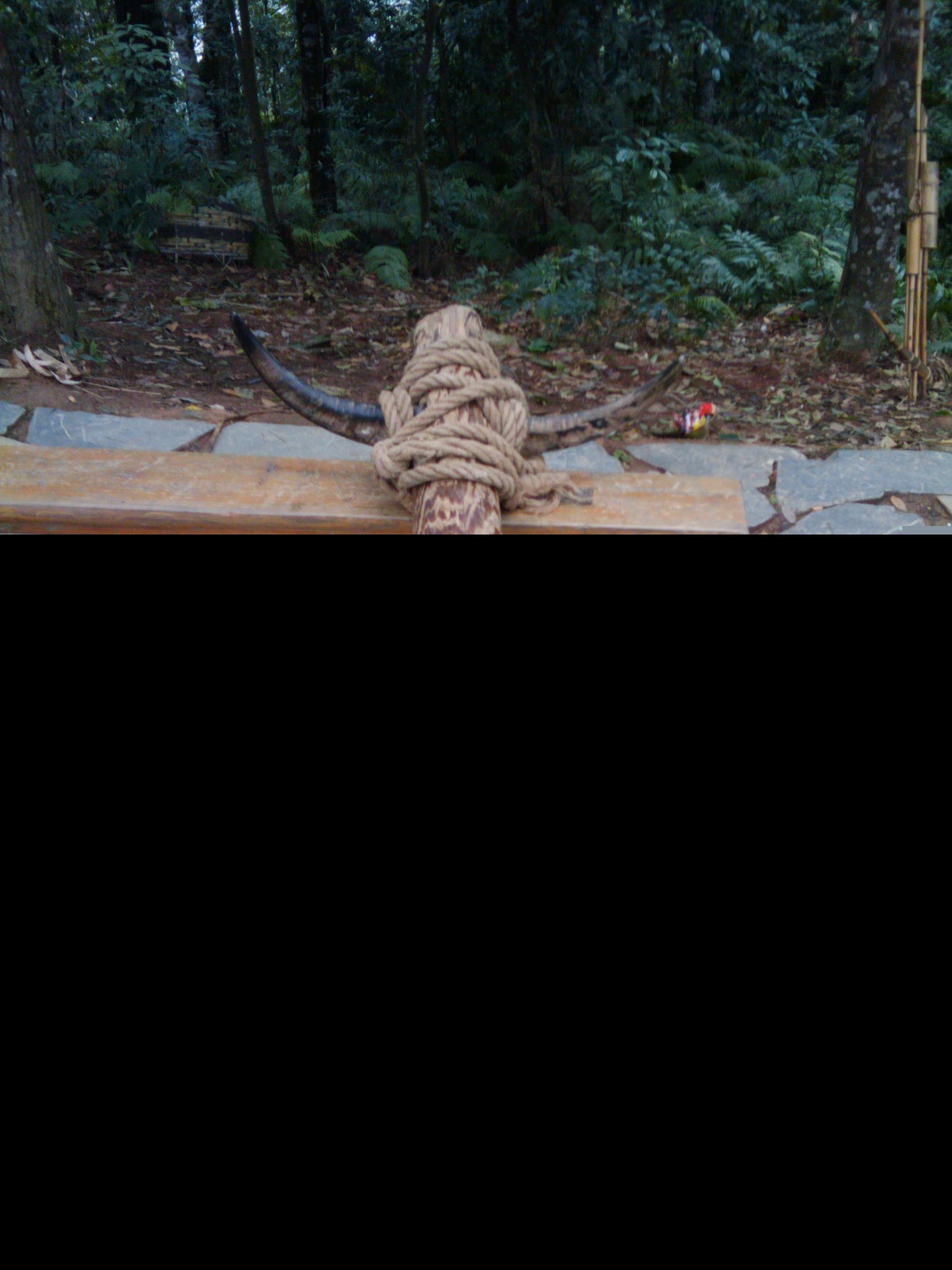 ǭ�������嶱�������ݣ���Զ�����ˣ��ɳ��С�ƣ�С�߿ף��Ʋ�-֮�ɳ