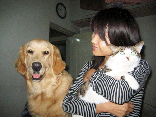 ��г����ͼƬ���ͣ����� èè С����