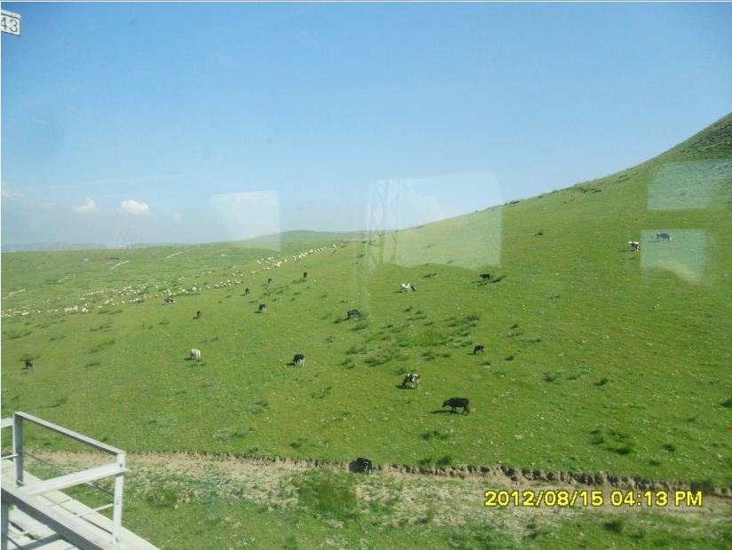 �������ߣ�����15��,8��16�գ�