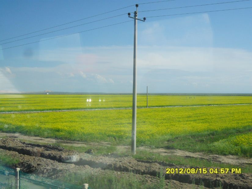 �������ߣ�����15��,8��16�գ�