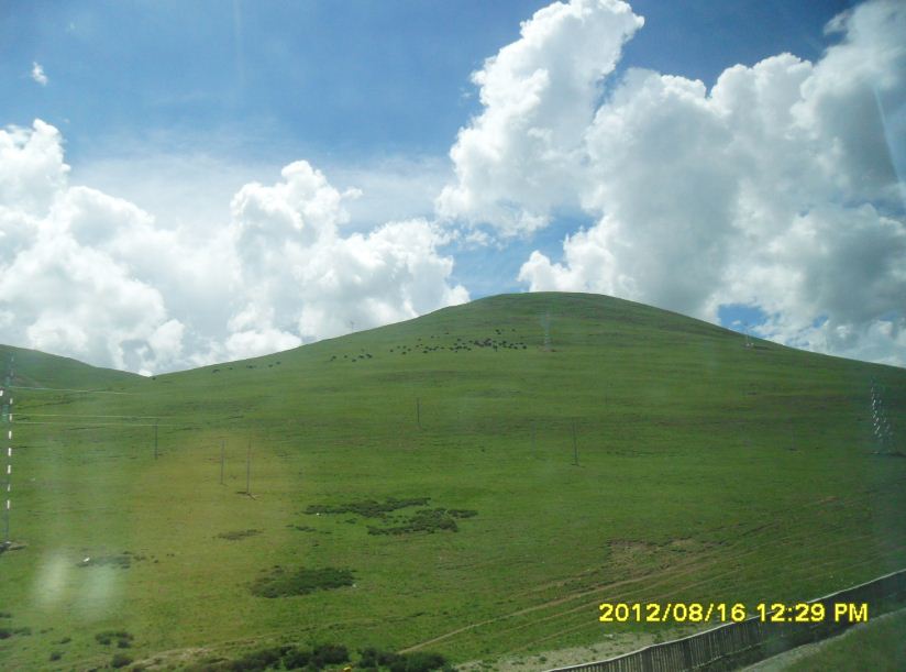 �������ߣ�����15��,8��16�գ�