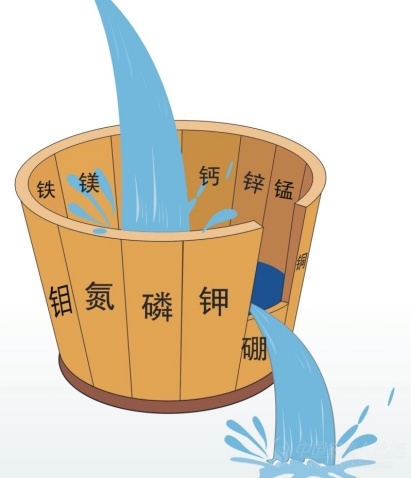 ��ľͰԭ����������֮��ѧϰ����������