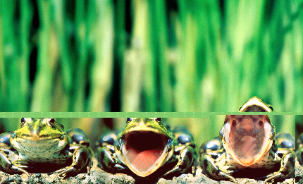 ��ֻ�Ｆ�Ĺ��£�һ���Խת����Ŀ������˼��