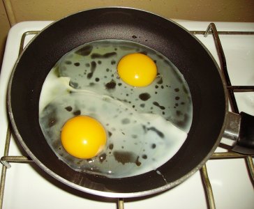 15˵����ŹֵĹȸ������⼰��