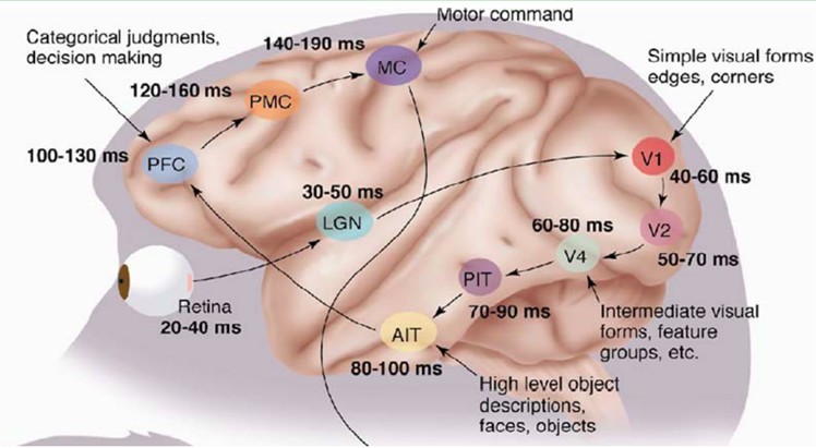 Deep Learning�����ѧϰ��ѧϰ��������ϵ��֮��һ��