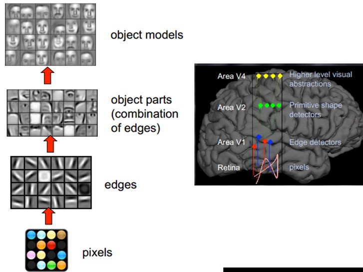 Deep Learning�����ѧϰ��ѧϰ��������ϵ��֮��һ��