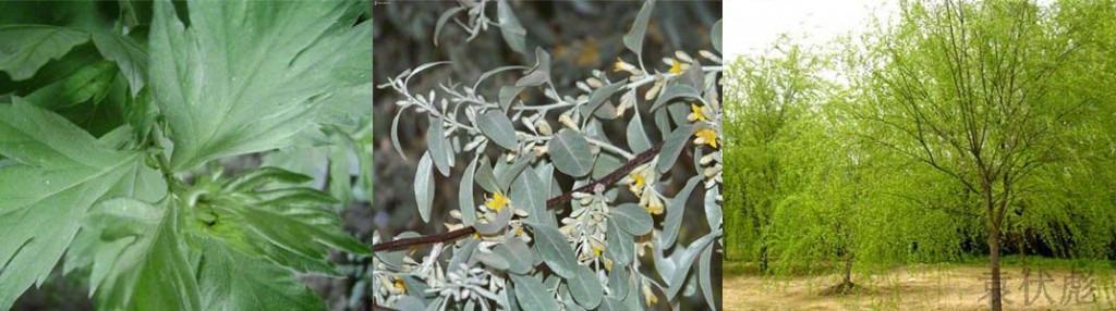 ����ڣ�С������ʧȥ��̫����