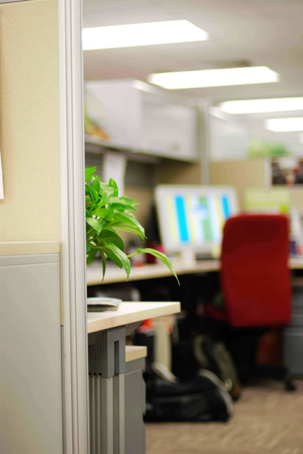 ΢����ϰ���ռ� ��һƪ ��ʶ΢��