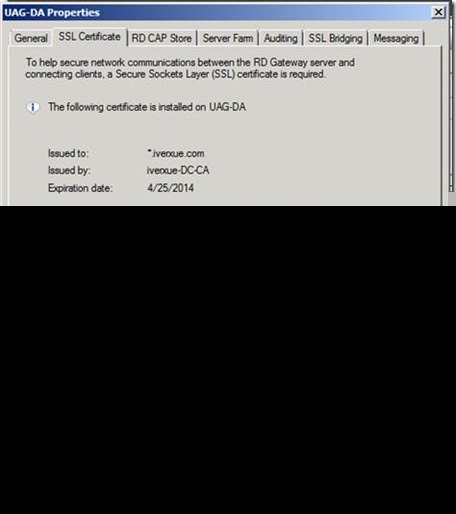 [��������]���� UAG ���� RemoteAPP