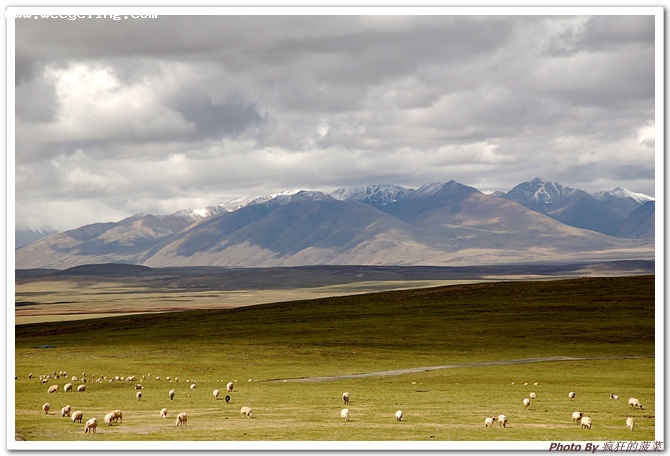 2007��������������ߣ�12����������