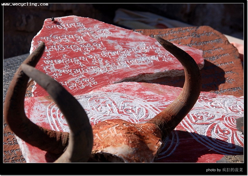 2007��������������ߣ�12����������