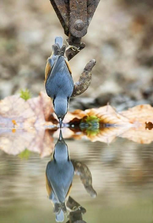 �����ʱ���ﻹ��Ц��