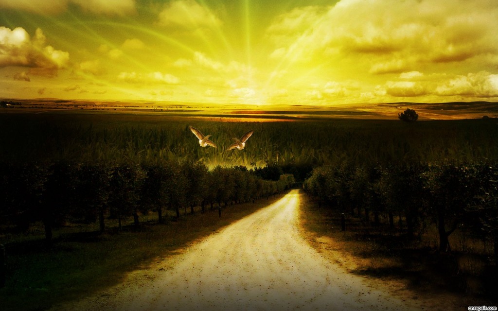 ��һͣ,��Ϊ���ߵĸ�Զ-2012���ϰ�������ܽ�