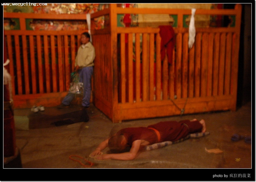 2007��������������ߣ�15����������