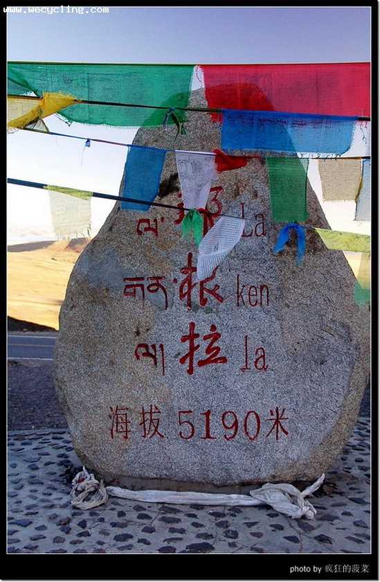 2007��7����������ߣ�13��������ľ�����£�