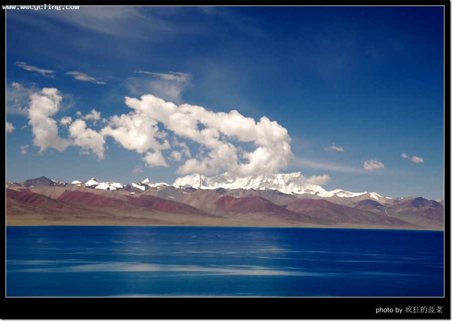 2007��7����������ߣ�13��������ľ�����£�