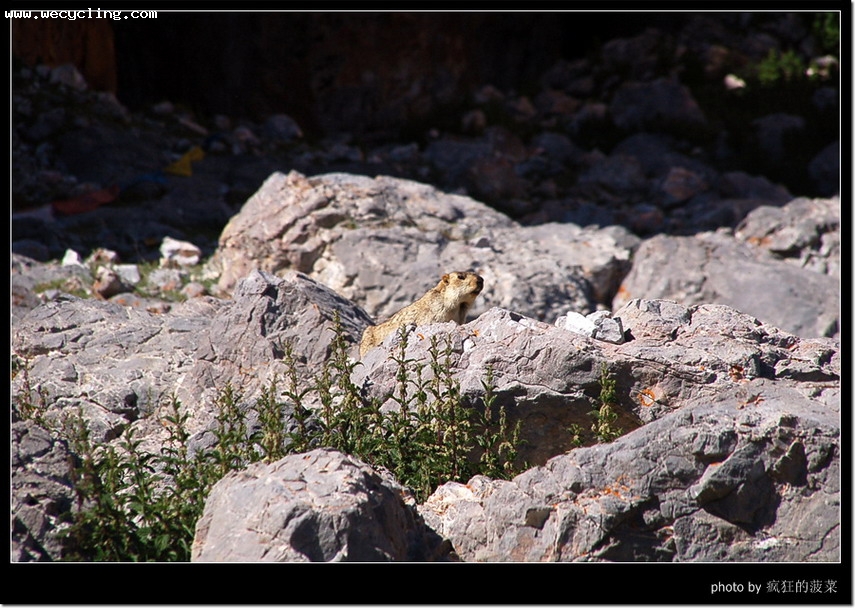 2007��7����������ߣ�13��������ľ�����£�