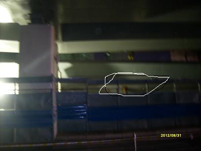 С�����ڹ���������̲���ţ����ţ���ҹ͵��ͼƬ.2012��8��31�գ�9��2�շ�����ԭ����