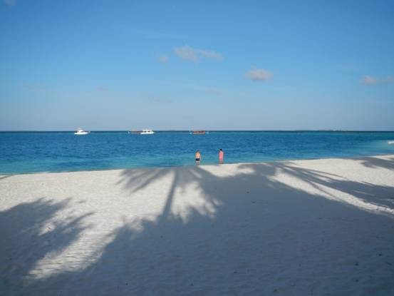 ��Dana������������С��ռ�ƪ~ϣ������¶��~����֮��~����ͼ~��һ��