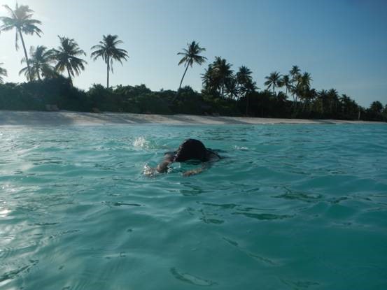 ��Dana������������С��ռ�ƪ~ϣ������¶��~����֮��~����ͼ~��һ��