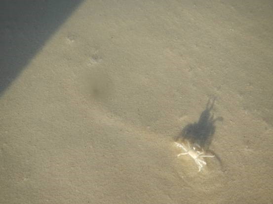 ��Dana������������С��ռ�ƪ~ϣ������¶��~����֮��~����ͼ~��һ��