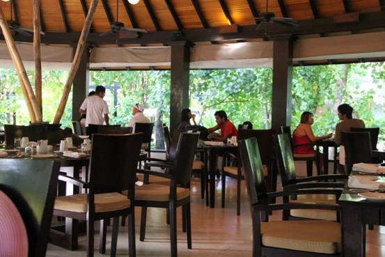 ��Dana������������С��ռ�ƪ~ϣ������¶��~����֮��~����ͼ~��һ��