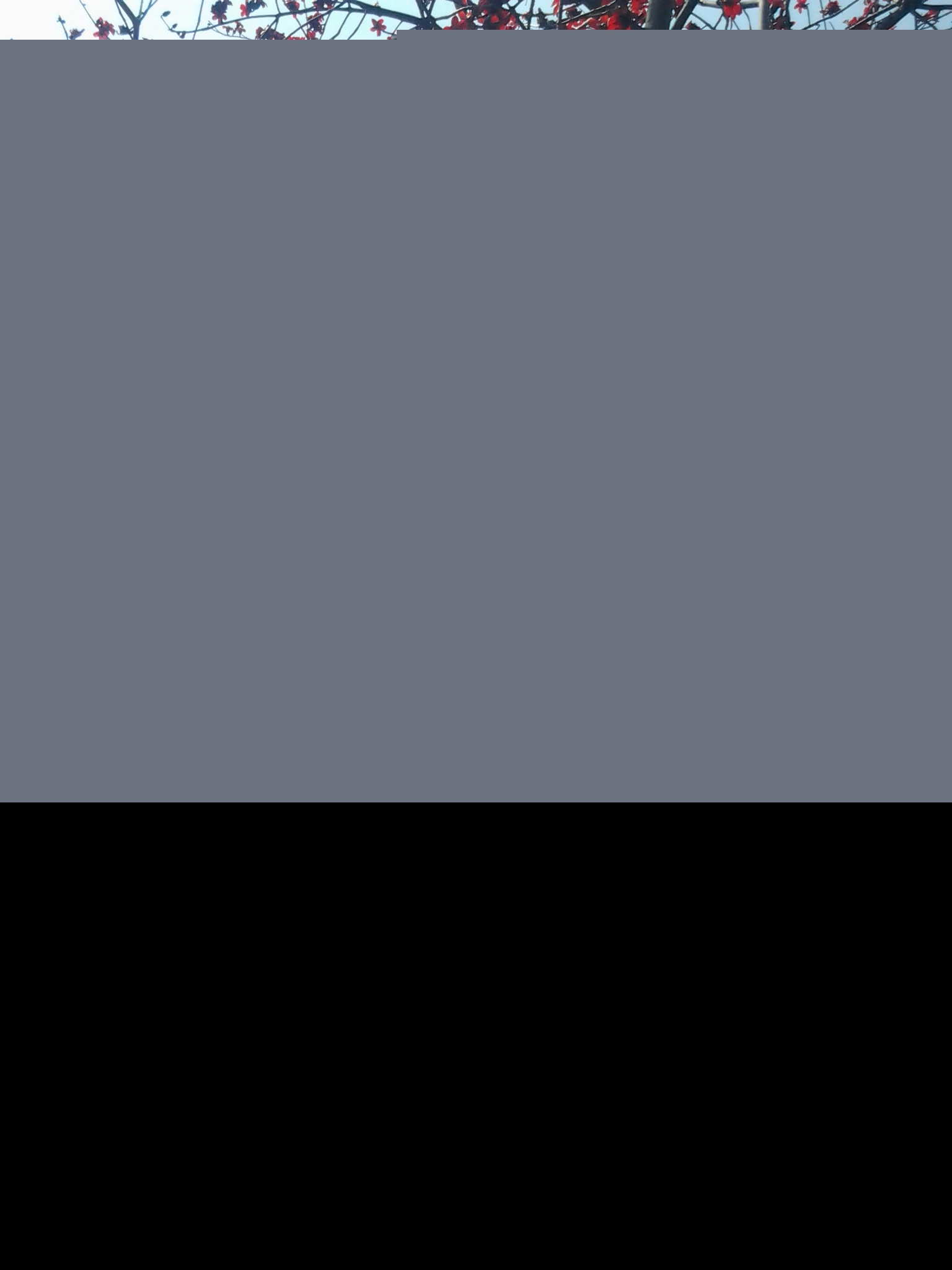 ԴԴ��ǧ�׵�ľ�޻���׳�ۣ�������������۹⣬��ӭ����