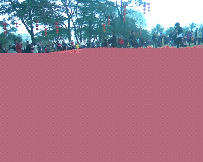 ԴԴ��ǧ�׵�ľ�޻���׳�ۣ�������������۹⣬��ӭ����