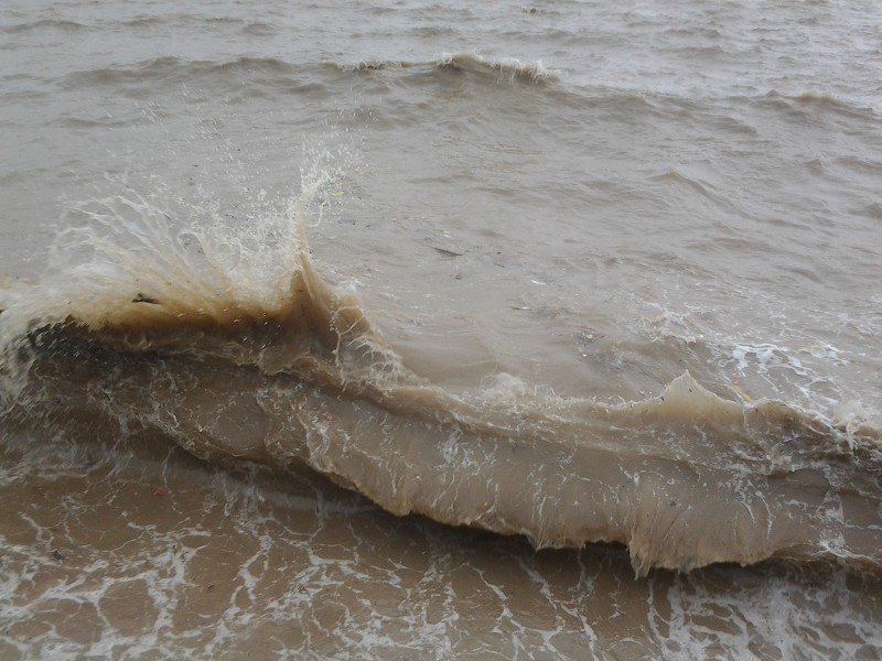 ԴԴ��ǧ�׵�ľ�޻���׳�ۣ�������������۹⣬��ӭ����