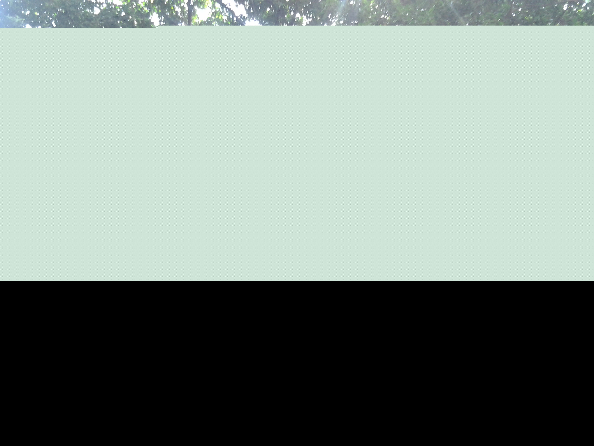 �麣�еĴ���ٻ�ʢ��������Ư����ӭ����