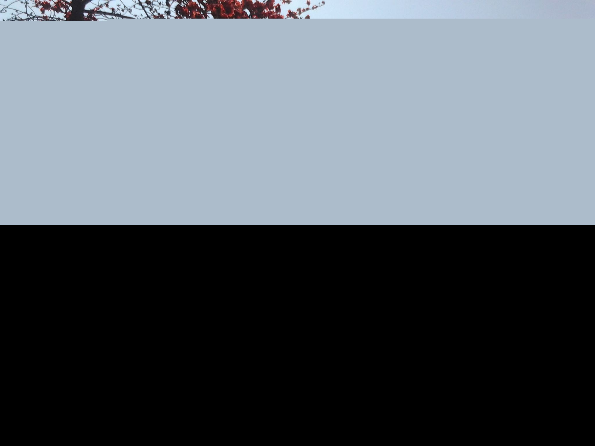 �麣�еĴ���ٻ�ʢ��������Ư����ӭ����