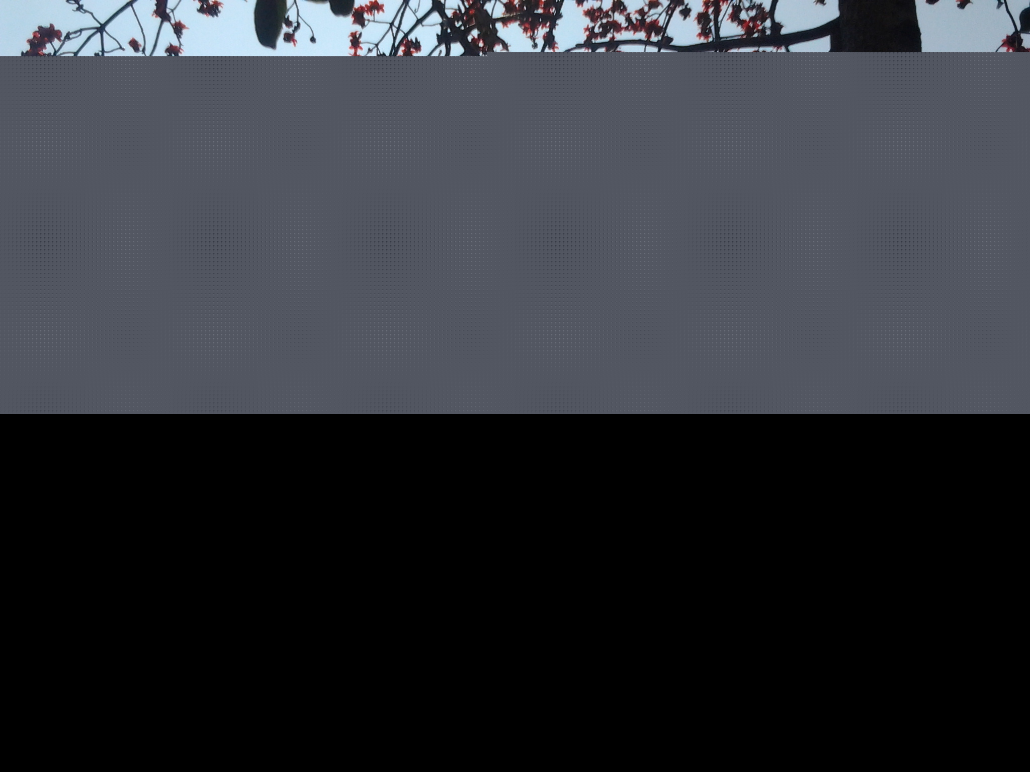 �麣�еĴ���ٻ�ʢ��������Ư����ӭ����